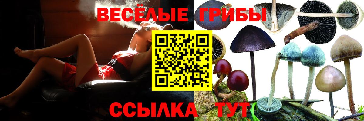 Псилоцибиновые грибы Cubensis  Псилоцибиновые грибы GOLDEN TEACHER  сколько стоит  Вход с VPN  Чехов 