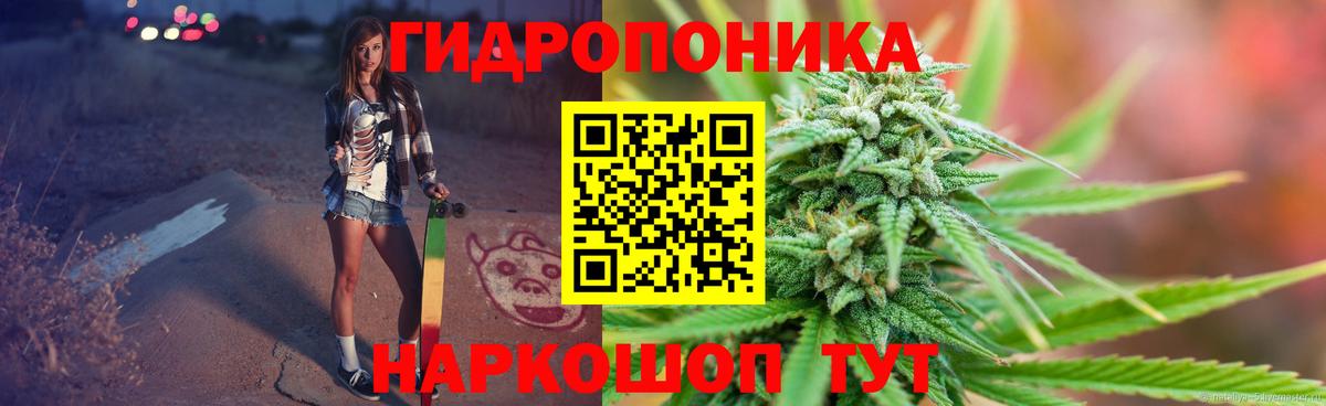 Канабис гибрид Чехов